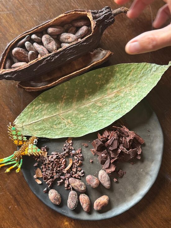 Ceremoniālais kakao: ZEMES SIRDS