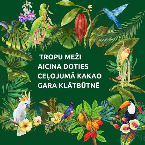 Komplekts: ceļojums ar Kakaositu